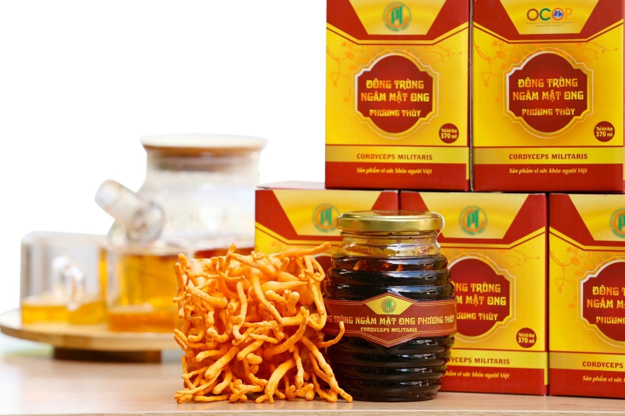 Tác dụng tuyệt diệu của đông trùng hạ thảo với phổi